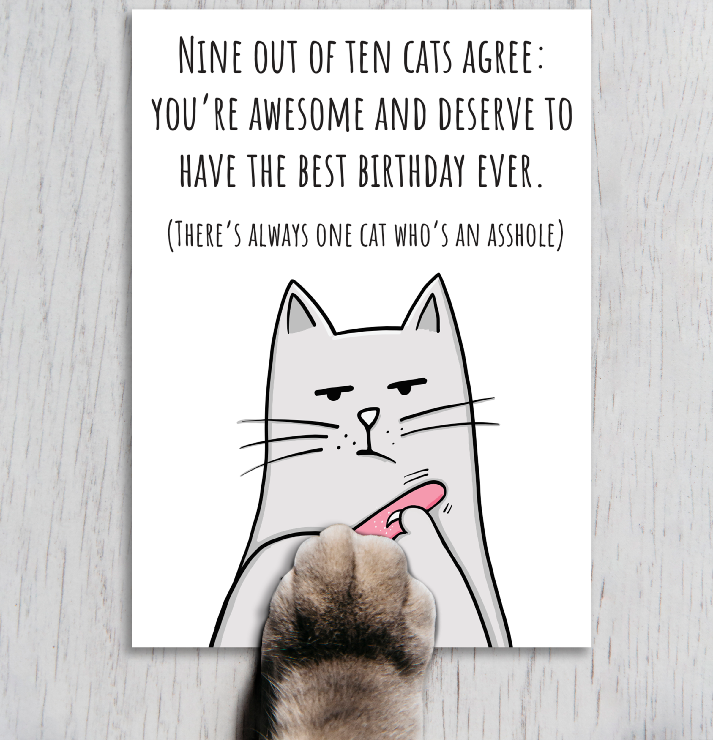 Birthday Card • Cattitude