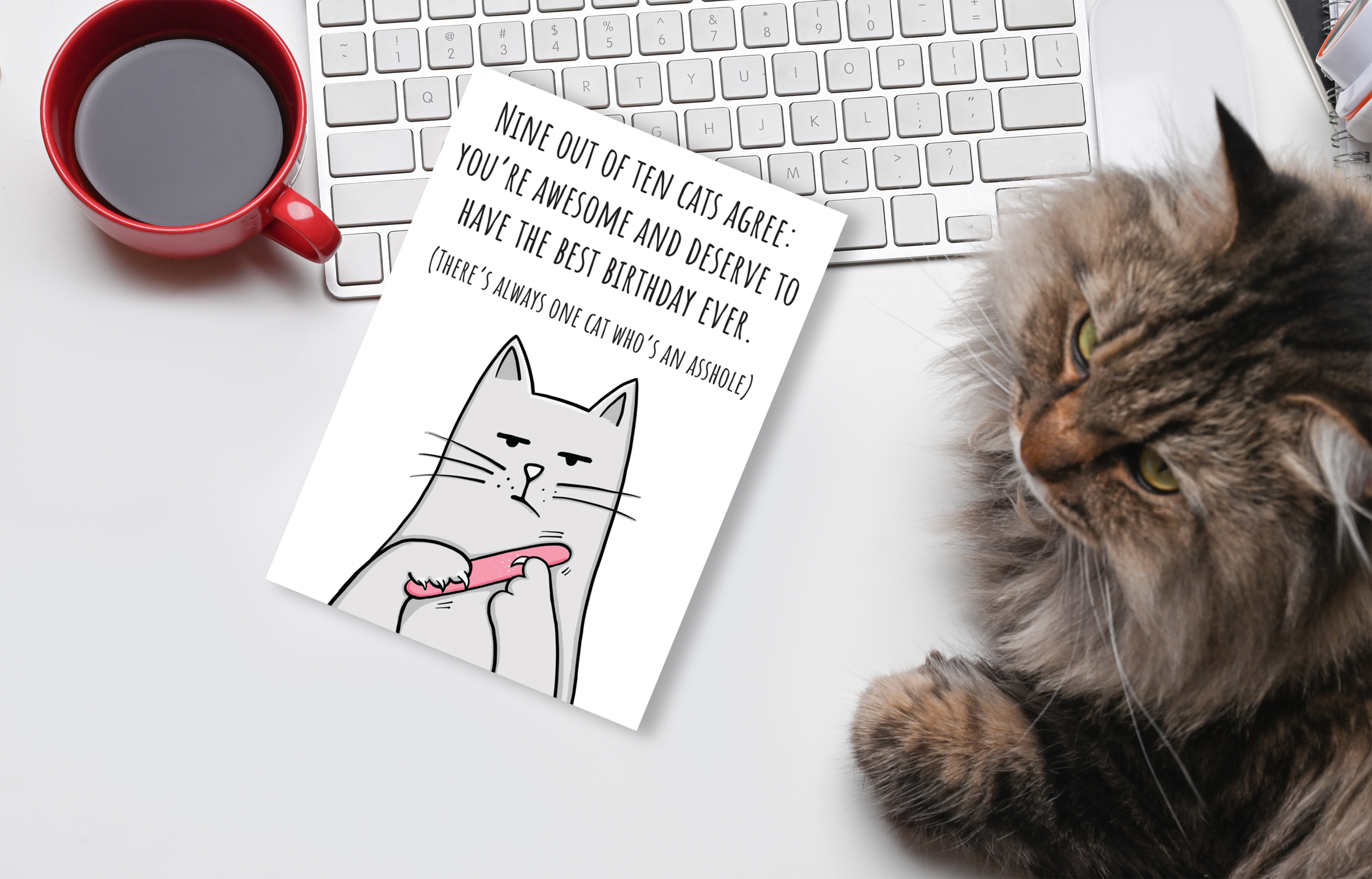Birthday Card • Cattitude