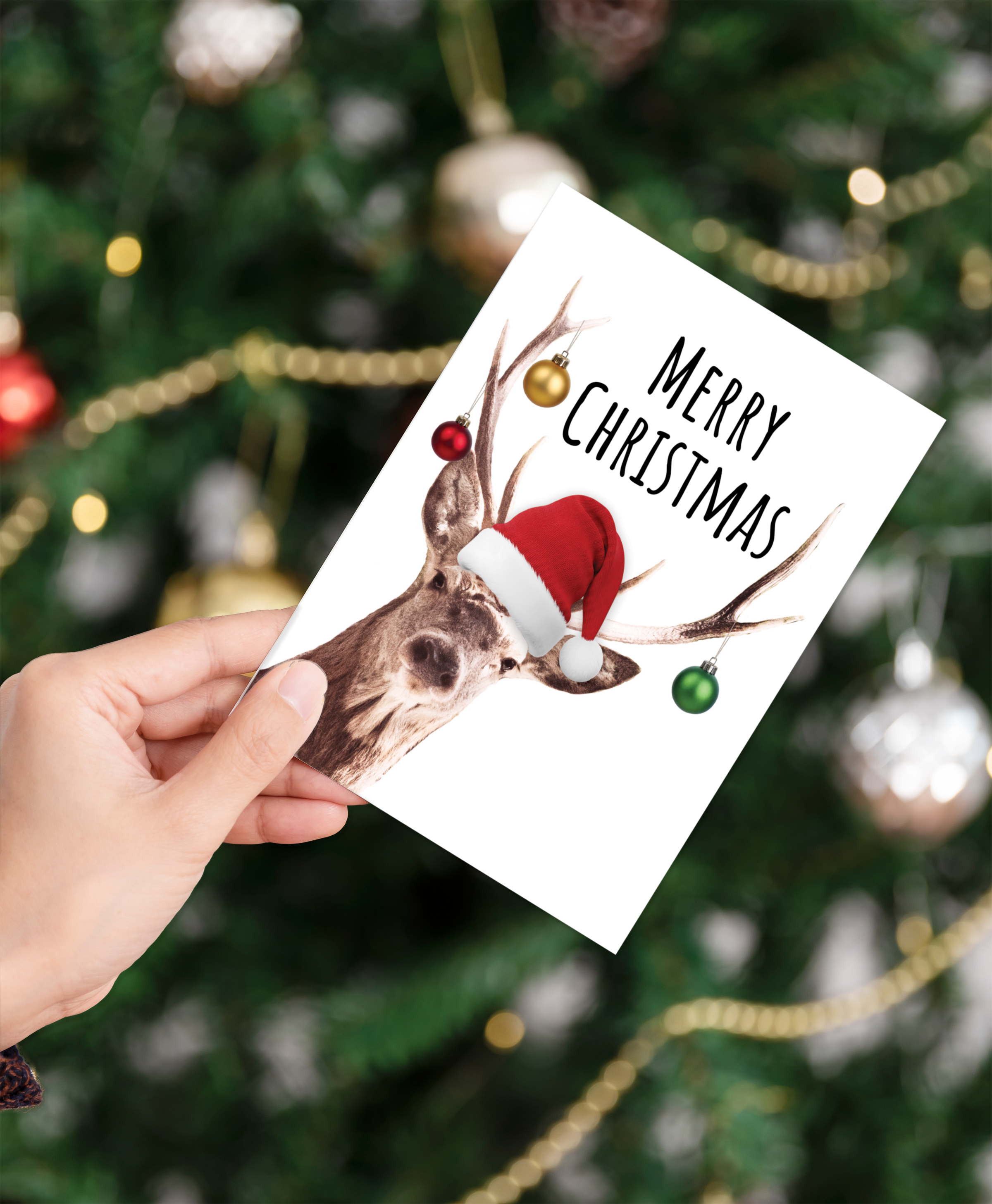 Christmas, Holiday Card • Santa Buck